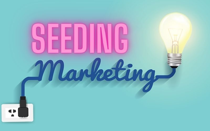 Seeding là gì? Hướng dẫn cách triển khai chiến dịch seeding hiệu quả