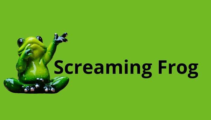 Screaming Frog là gì? Cách sử dụng Screaming Frog hiệu quả năm 2024
